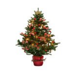 شجرة الأنسجة