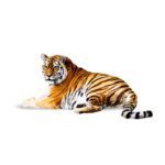 الزرافة الأنغولية